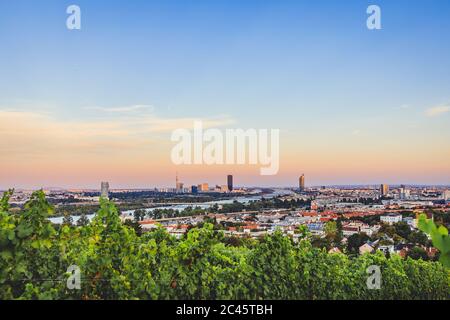 View from vineyards over Nussdorf and Danube with VIC in the background Stock Photo