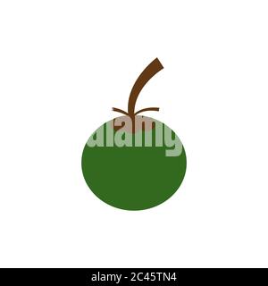 young coconut vector design template illustration Stock Vector