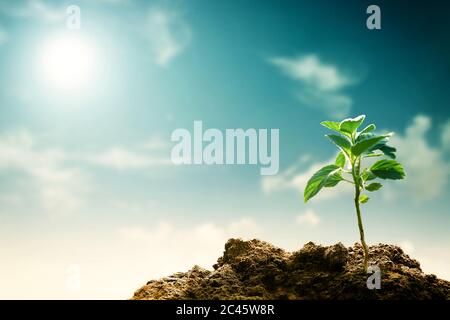 Sustainability and global warming Concept Stock Photo