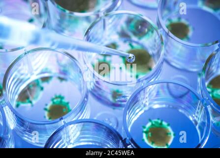 Scientist pipetting a experimental vaccine into a multi well plate with the virus in the background. Stock Photo