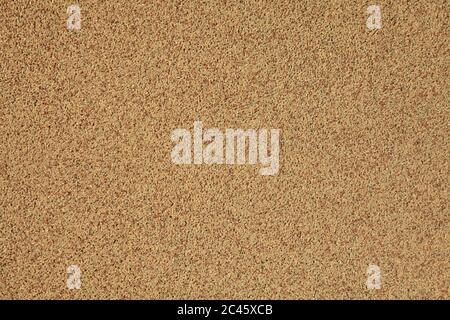 Wall texture, background. Colorful mosaic and granulated textured coating. Structural plaster, rough, uneven surface in yellow soft color Stock Photo