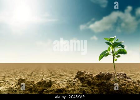 Sustainability and global warming Concept Stock Photo