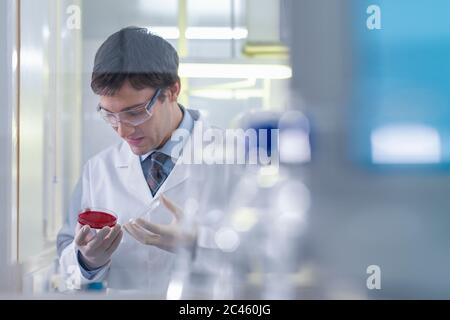 Male scientist researcher  working in research laboratory.