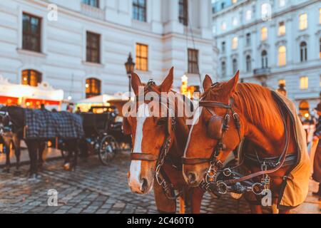 Hackney cab on Christmas market at Hofburg Palace in Vienna Stock Photo