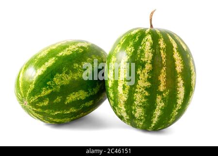 Two fresh organic Watermelons isolated on white. Stock Photo
