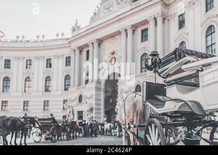 Vienna Fiaker, horse drawn carriage in front of Imperial Palace - Hofburg Stock Photo