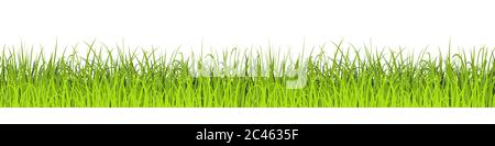 Green Grass Seamless Background. Vector illustration. Lawn border Stock Vector