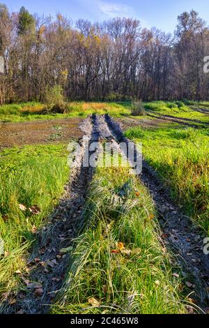 Dirt mud road in the Special Nature Reserve Koviljsko Petrovaradinski Rit (Kovilj – Petrovaradin marshes), complex of marshes along the Danube river i Stock Photo
