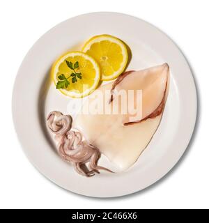 Macro close-up of a plate with a raw, fresh, clean and skinned squid. Dish garnished with two round slices of lemon and parsley leaf. Isolated on whit Stock Photo