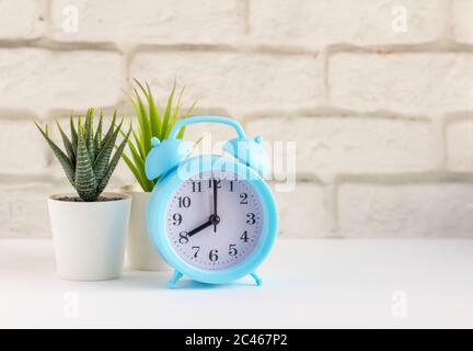 a small table alarm clock and succulents in mini pots on a table or shelf with a copy of the space. Stock Photo