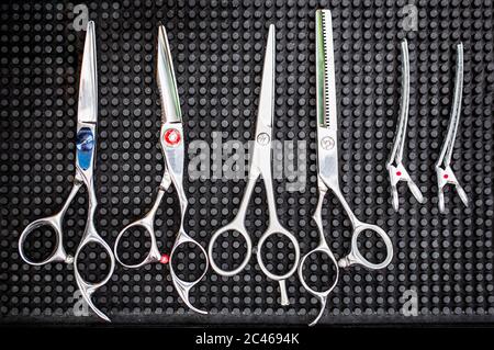 Professional scissors for haircuts. Scissors barber, salon, haircut. Scissor for a hairstyle. Barber shop tools Stock Photo