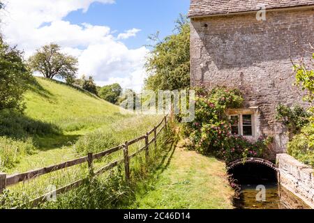 Roses growing over the mill leat of Winson Mill in the Coln Valley in the Cotswold village of Winson, Gloucestershire UK Stock Photo