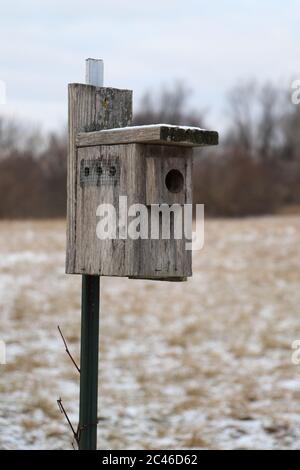 closeup shot of a wooden bird nesting box Stock Photo