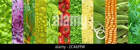 Different types of vegetables in a collage Stock Photo