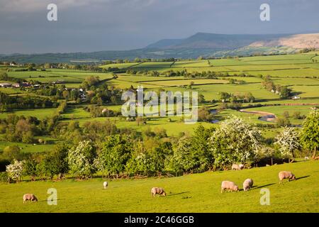 View over Usk Valley to Mynydd Llangorse, Talybont-on-Usk, Brecon Beacons National Park, Powys, Wales, United Kingdom, Europe Stock Photo