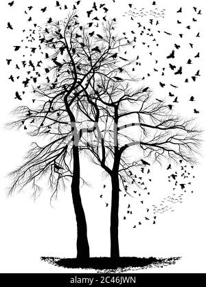 ravens on tree branch, vector illustration Stock Vector Image & Art - Alamy