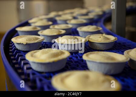 Meat pies come down the production line at a meat processing facility in the UK Stock Photo