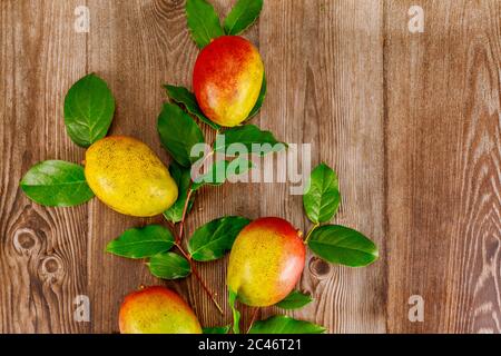 Tropical fresh fruit mango with green leaves on wooden background. Stock Photo