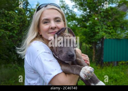 The blonde holds in her arms a puppy of the American Staffordshire Terrier Stock Photo