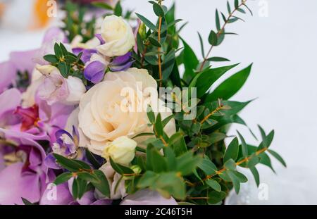 White rose and irises isolated on white background. Stock Photo