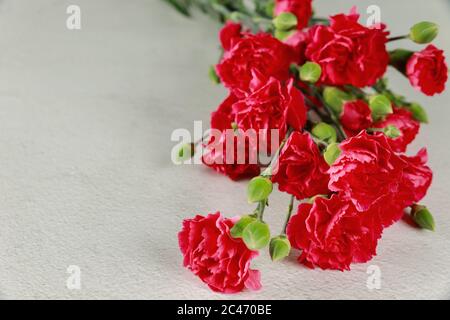 Bouquet of red carnation flowers on white background. Stock Photo
