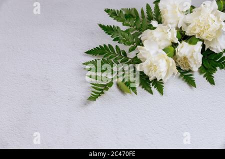Bouquet of white carnation flowers on white background. Stock Photo