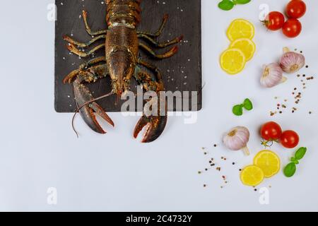 Fresh lobster on black board with spices on white background. Top view. Stock Photo