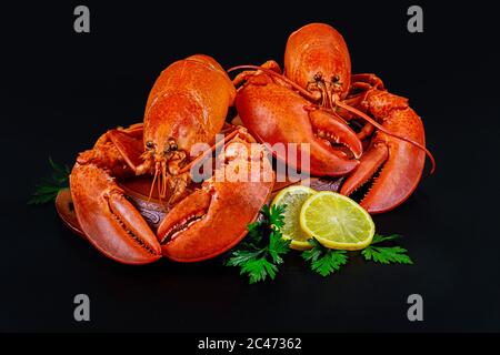 Boiled red lobsters with lemon on black background. Stock Photo