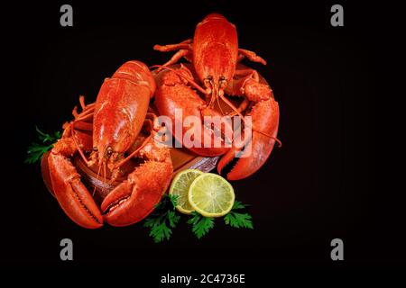 Expensive seafood dish on black background with sliced lemon. Stock Photo