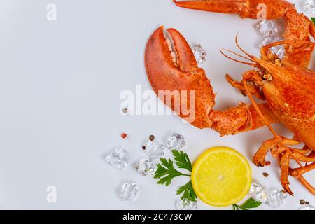 Tasty lobster crab with big claw on white background with lemon. Stock Photo