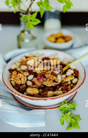 A close-up of a granola bowl with walnuts, chocolate and dried cranberries, a bottle of milk, small bowl with nuts, towel, green branch. A spoon full Stock Photo