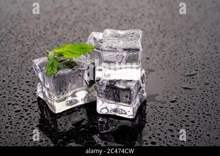 Ice cubes and mint on wet background Stock Photo