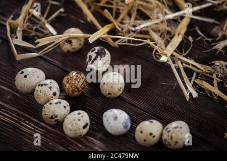 Quail eggs. eggs in straw, on a wooden background Stock Photo