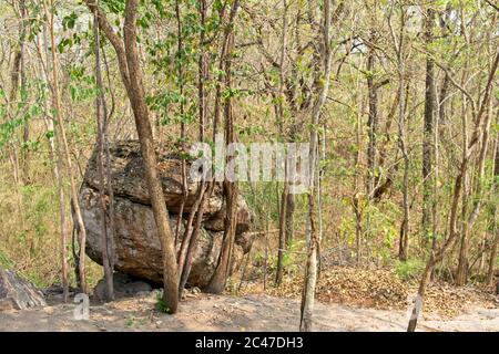 Phu Phra Bat Park, Unusual rock formations formed by erosion Adapted as Budhist shrines Large boulder among trees Stock Photo
