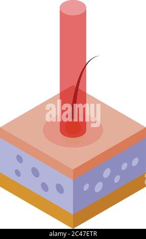 Laser hair removal process icon, isometric style Stock Vector