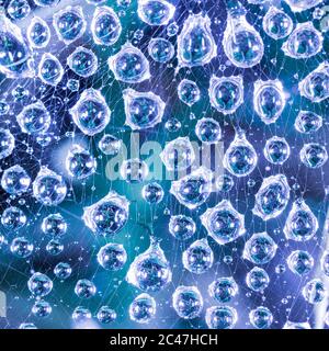 large drops of water after rain on the web close up on a blue background Stock Photo