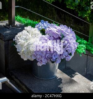 Artificial white and blue hydrangeas in aluminum buckets adorn the restaurant entrance. Decoration Stock Photo