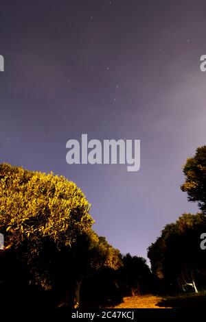 Amazing starry night sky with Milky way and stars above tourists tents in woods in mountains. Camping under the beautiful stars and trees. Stock Photo