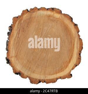 A cut of sawn wood. A piece of wood on a white background. Stock Photo