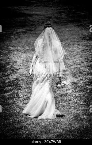 Isolated Rear view of bride in long wedding gown with veil holding a bouquet while walking outside in garden Stock Photo