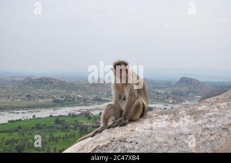 Ancient ruins of Hampi, India Stock Photo