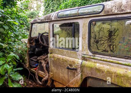 Moss covers the body of a rusting Land Rover on the grounds of Tacugama Chimpanzee Sanctuary near Freetown, Sierra Leone, ivy growing in through the open door. Stock Photo
