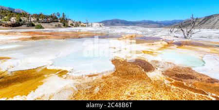 Wide angle panorama of the volcanic Canary Spring thermal area of Main Terrace at Mammoth Hot Springs in Yellowstone National Park, USA. Stock Photo