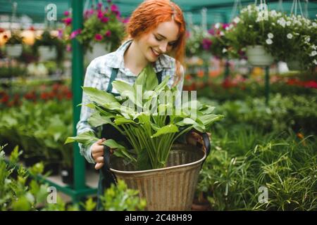 Beautiful redhead smiling florist in apron working with flowers. Young lady standing with big flower in hands Stock Photo