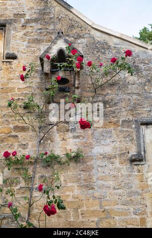 Old school bell and red roses on the front of the old school house in the early morning. Upper Slaughter , Cotswolds, Gloucestershire, England Stock Photo