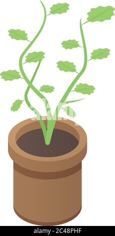 Farm plant pot icon, isometric style Stock Vector