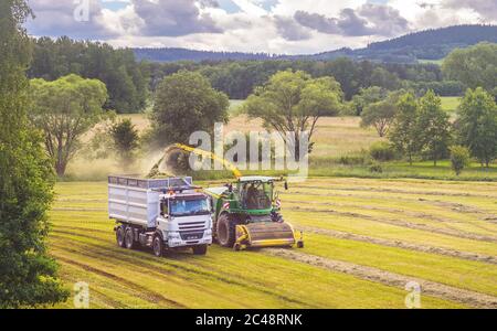 Self-Propelled forage harvester and silage truck in the field Stock Photo