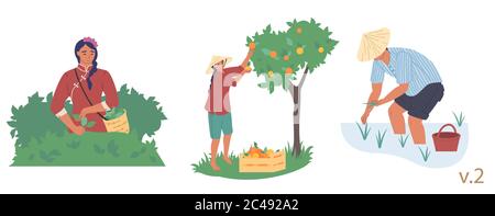 Flat farmer people. Asian farm rice fields vector illustration set ...