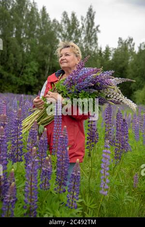 An older woman stands with a huge bouquet of bright lupins. Stock Photo