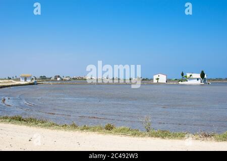 Landscape of rice fields near the lagoon of Valencia, Spain. Freshly planted rice fields. Stock Photo